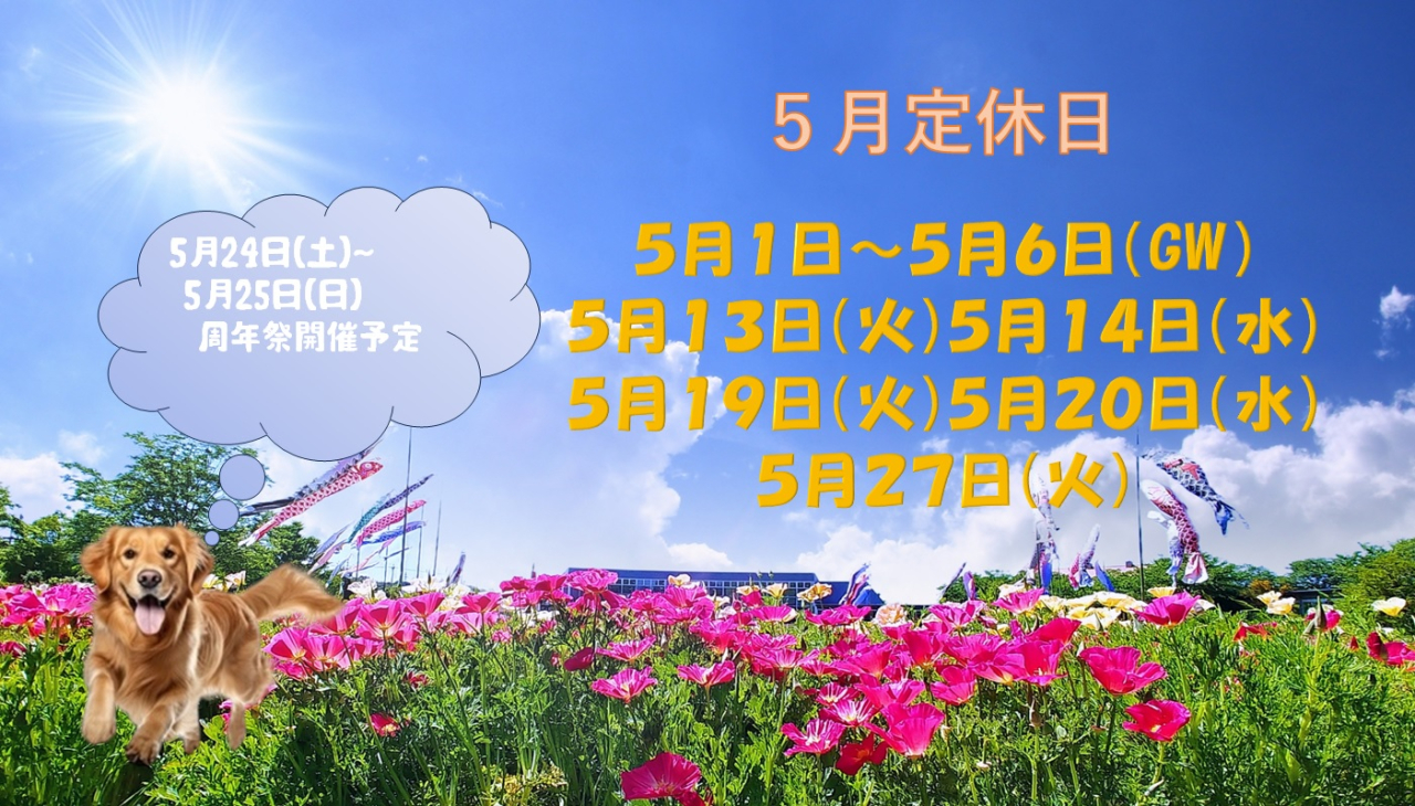 5月トップ